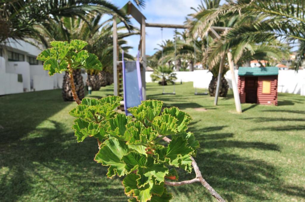 Hotel Torre Praia Porto Santo Bagian luar foto